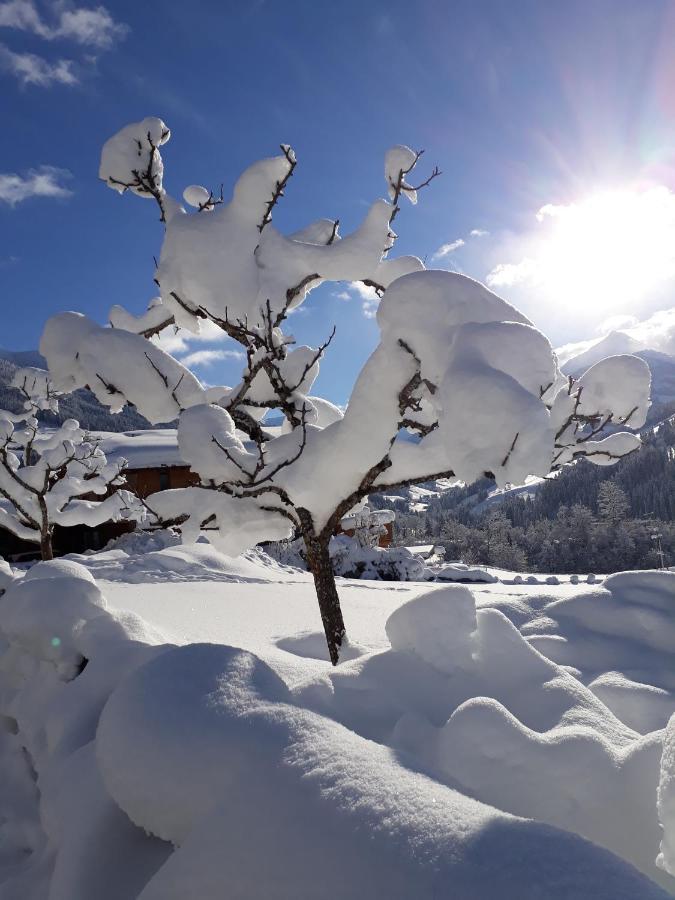 Haus Gmahblick Ferienwonungen Hotel Alpbach Bagian luar foto
