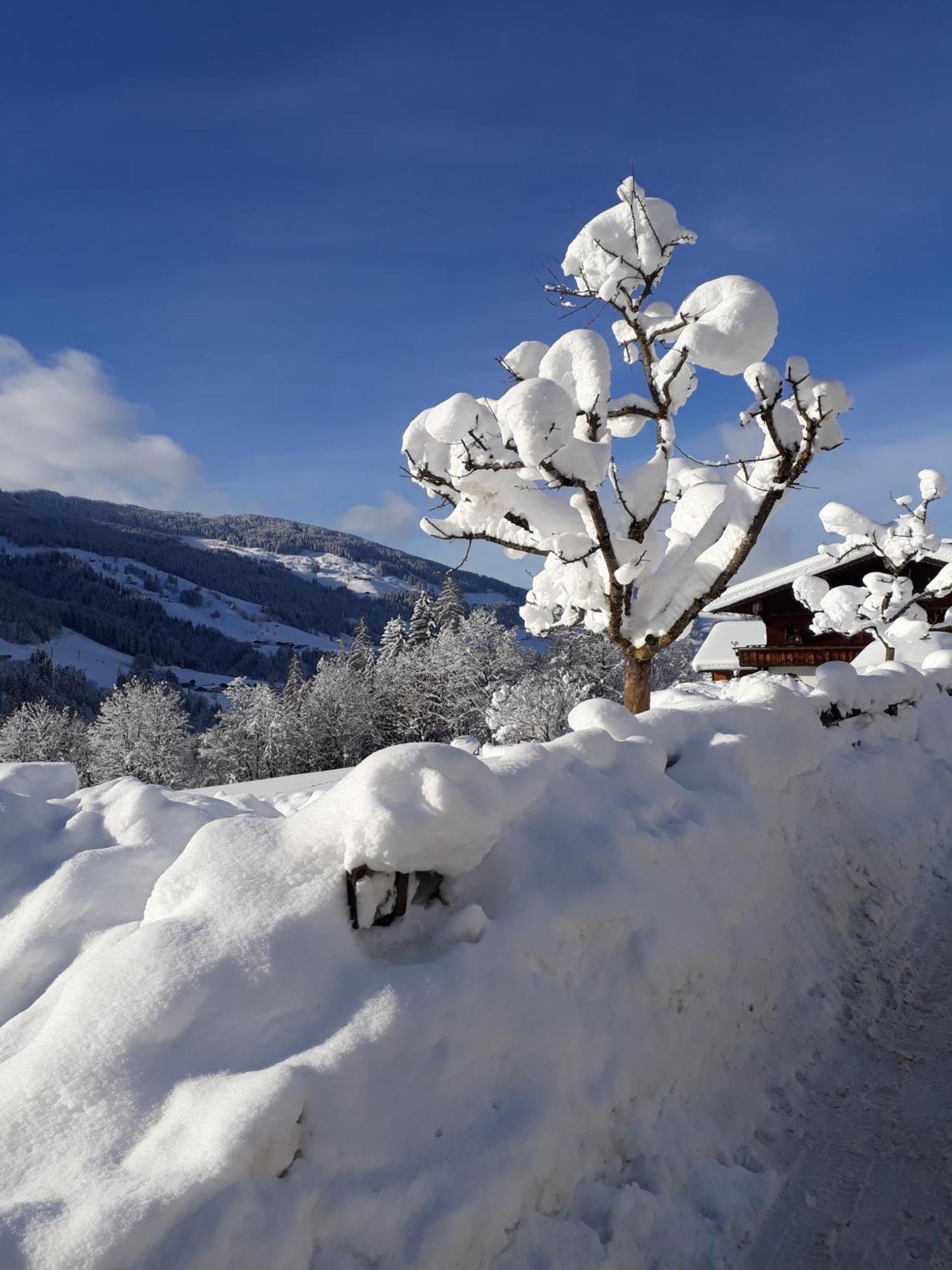 Haus Gmahblick Ferienwonungen Hotel Alpbach Bagian luar foto
