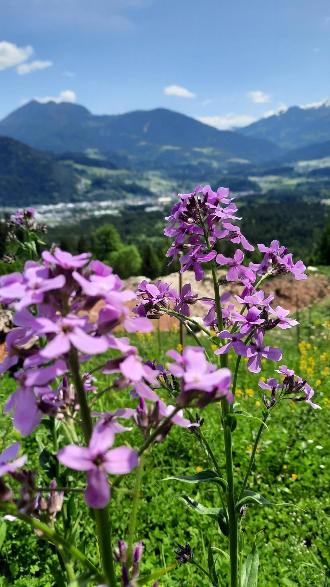 Haus Gmahblick Ferienwonungen Hotel Alpbach Bagian luar foto
